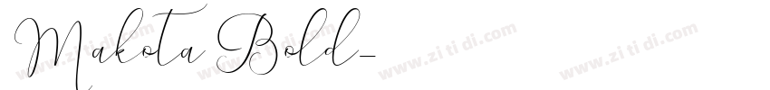 Makota Bold字体转换